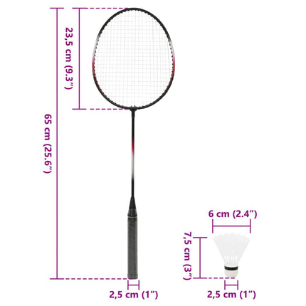 badmintonsæt 292x30x152 cm 2 ketsjere + net og opbevaringstaske