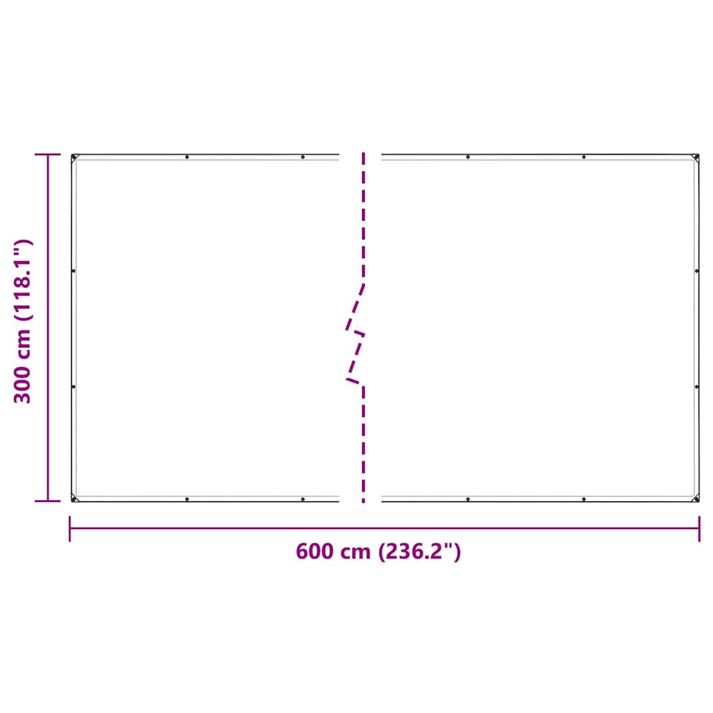 klar presenning med øjer 3x6 m PVC