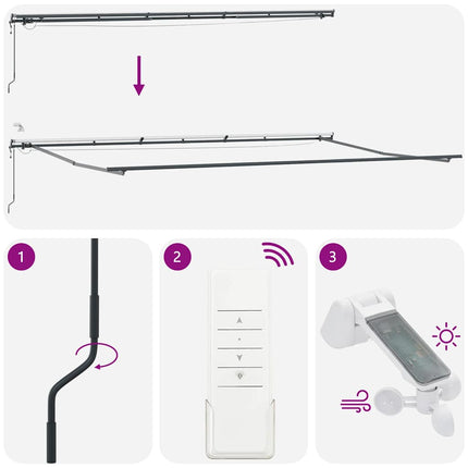 markise m. LED 600x300 cm automatisk betjening antracitgrå hvid