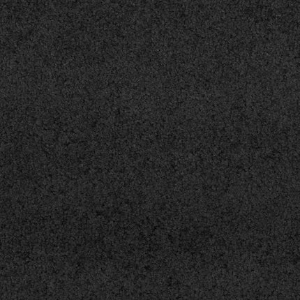Dørmåtte Sort 120 x 250 cm 100% polyamid