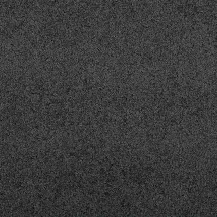 Dørmåtte Anthracit og sort 120 x 400 cm 100% polyamid