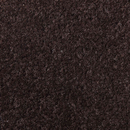 Dørmåtte Brun 60x90 cm