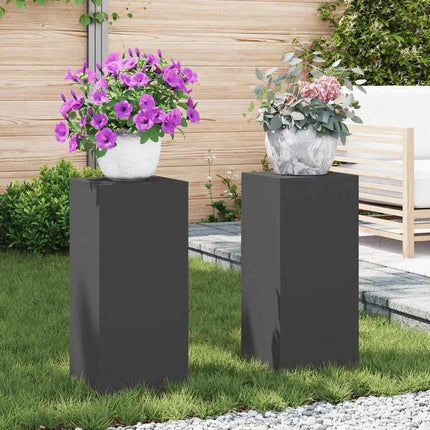 Planteholder 2 pcs Sort 24 x 24 x 55 cm Stål