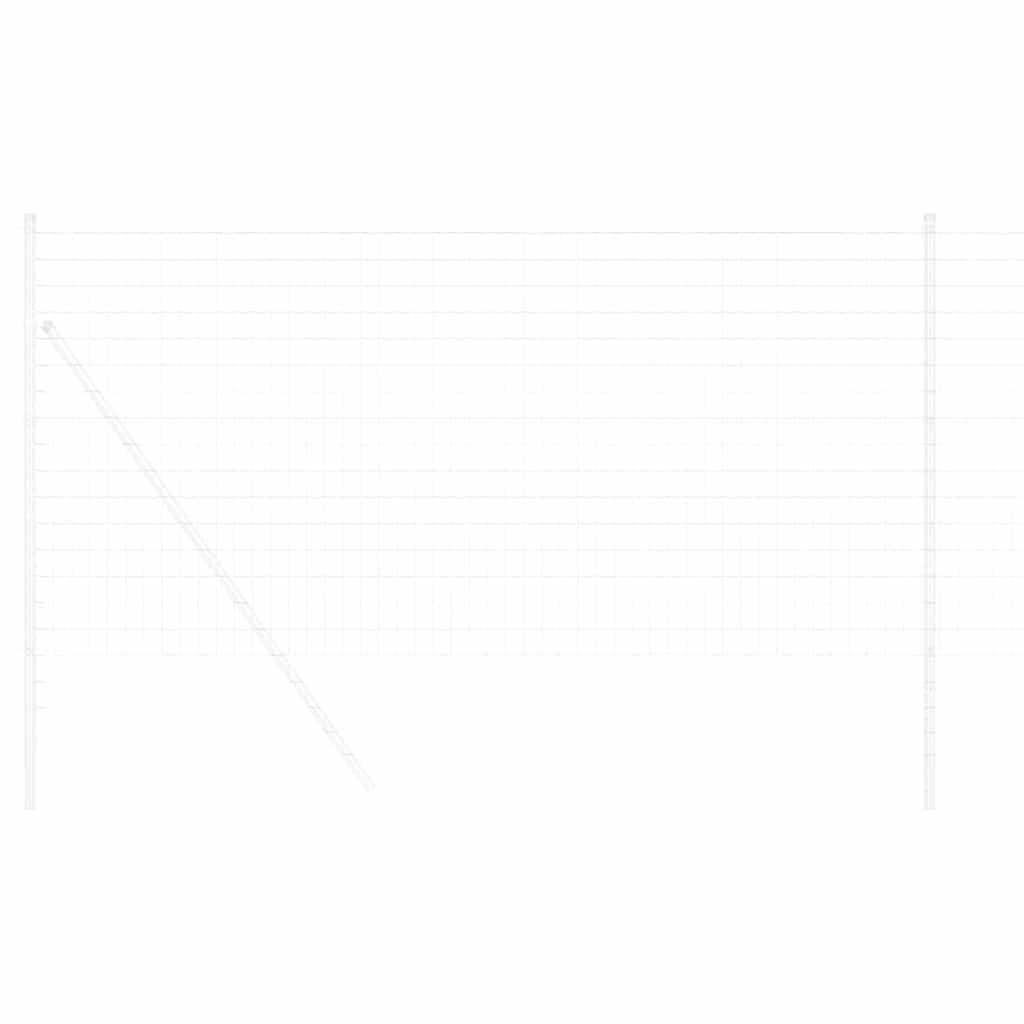 Euro Hejn 1 x 10 m PVC-belagt jern
