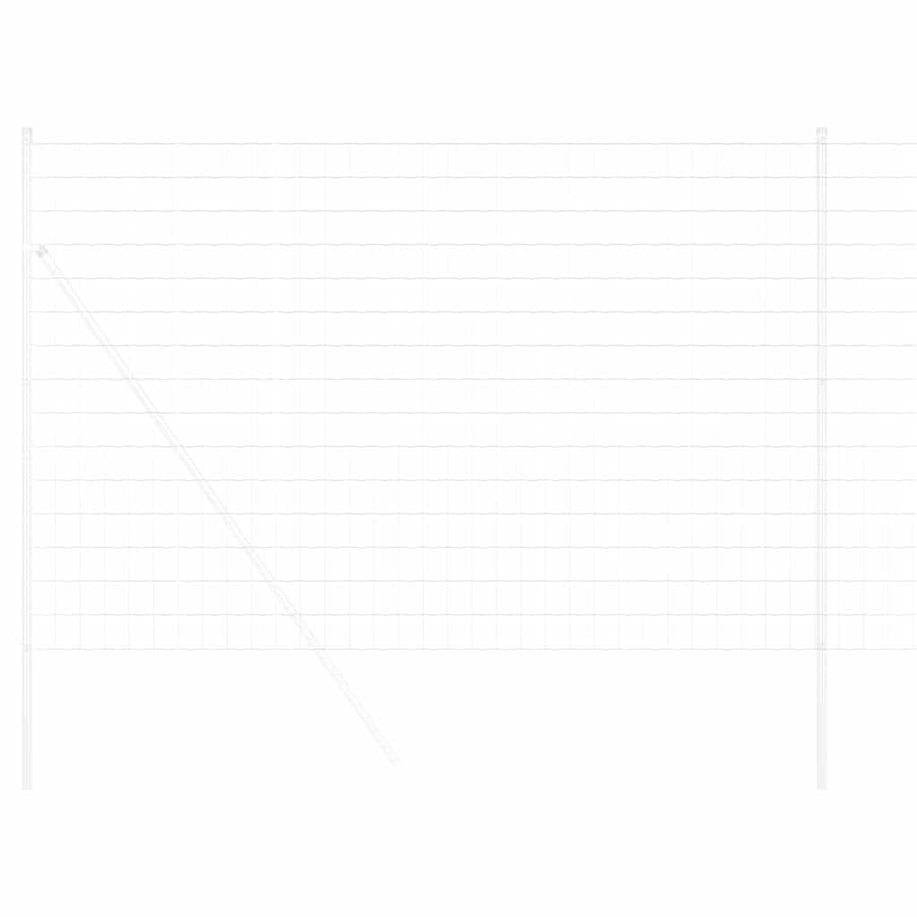 Euro Hejn 1,6 x 10 m PVC-belagt jern