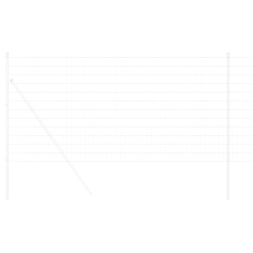 Euro Hejn 1 x 25 m PVC-belagt jern