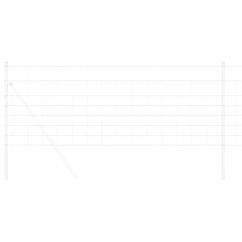 Vild Heg Hot Dip Galvaniseret 1000 x 80 x 0,18 cm Jern