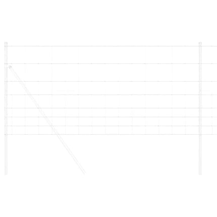 Vild Heg 1000 x 100 x 0,18 cm Jern Hot Dip Galvaniseret