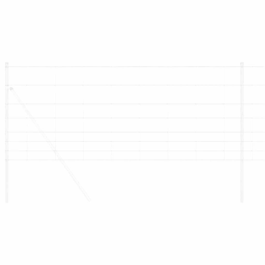 Vild Heg Hot Dip Galvaniseret 1000 x 100 x 0,18 cm Jern