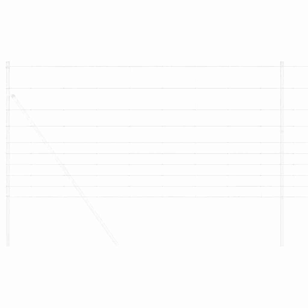 Vild Heg Hot Dip Galvaniseret 1000 x 120 x 0,18 cm Jern