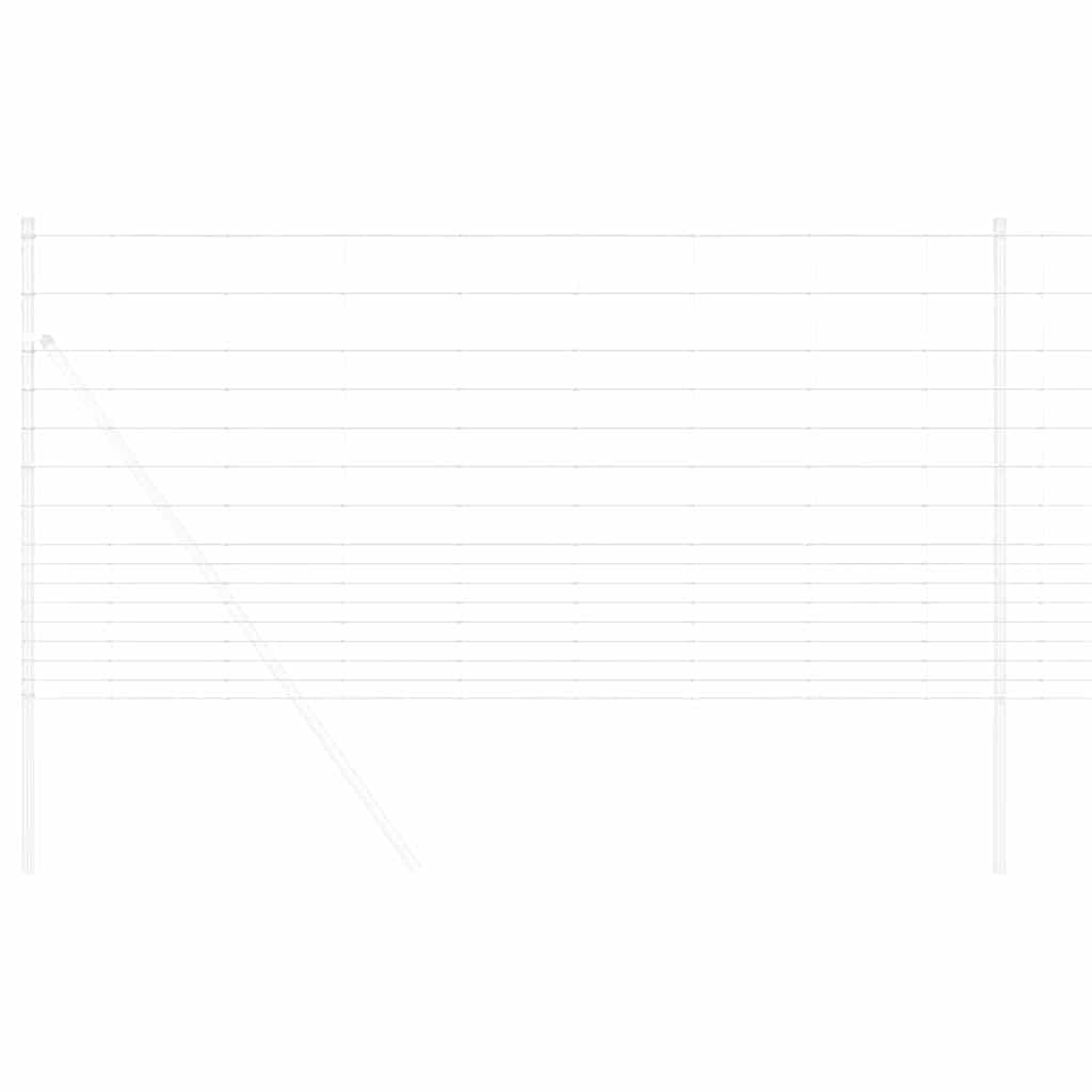 Vild Heg Hot Dip Galvaniseret 1000 x 120 x 0,18 cm Jern