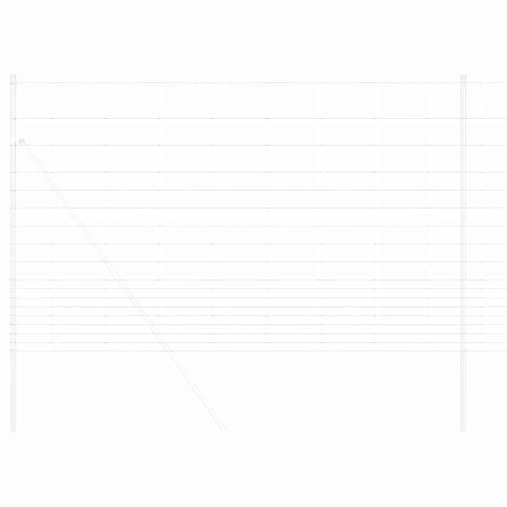 Vild Heg Hot Dip Galvaniseret 1000 x 150 x 0,18 cm Jern
