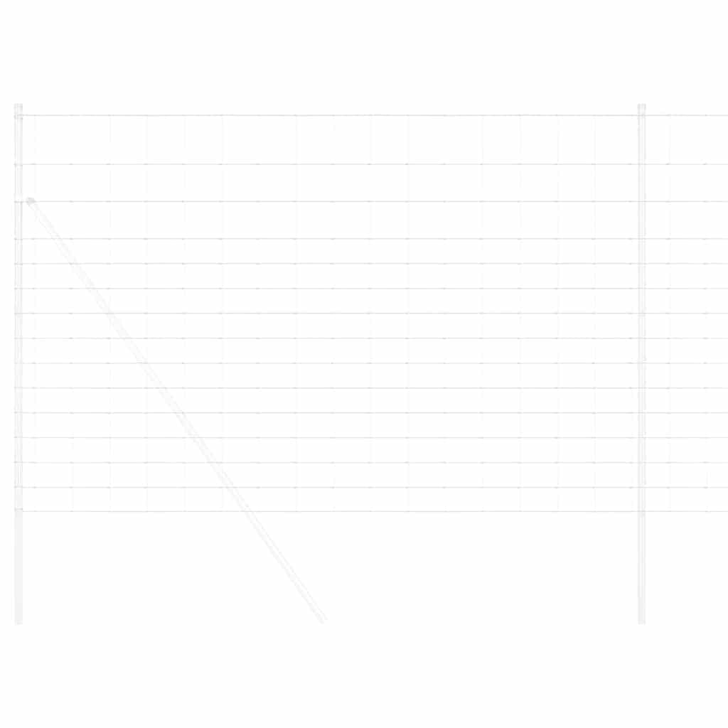 Vild Heg Hot Dip Galvaniseret 1000 x 160 x 0,18 cm Jern