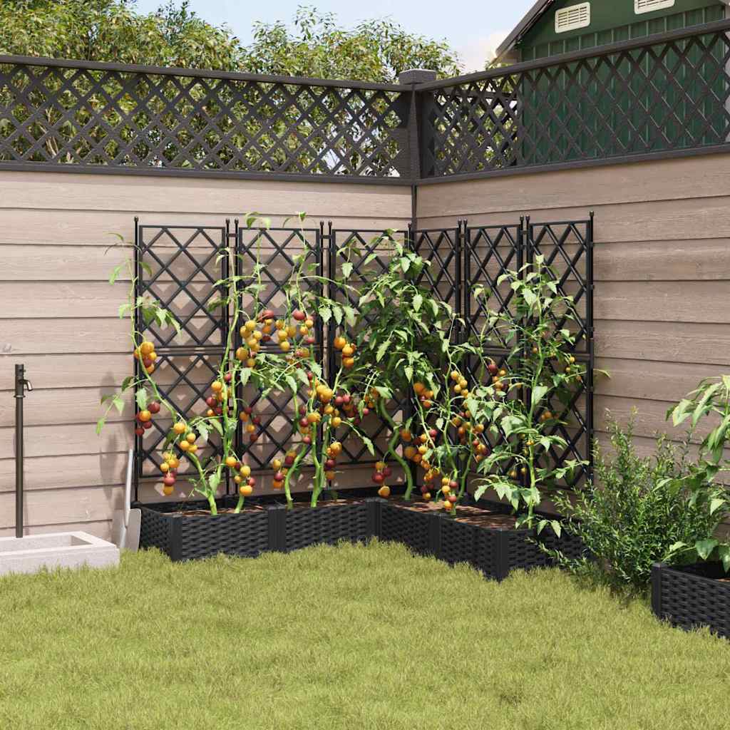 Havekrukke med trellis 5 pcs Sort 120 x 120 x 125.5 cm PP