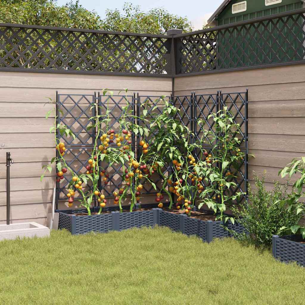 Havekrukke med trellis 5 pcs Grå 120 x 120 x 125.5 cm PP