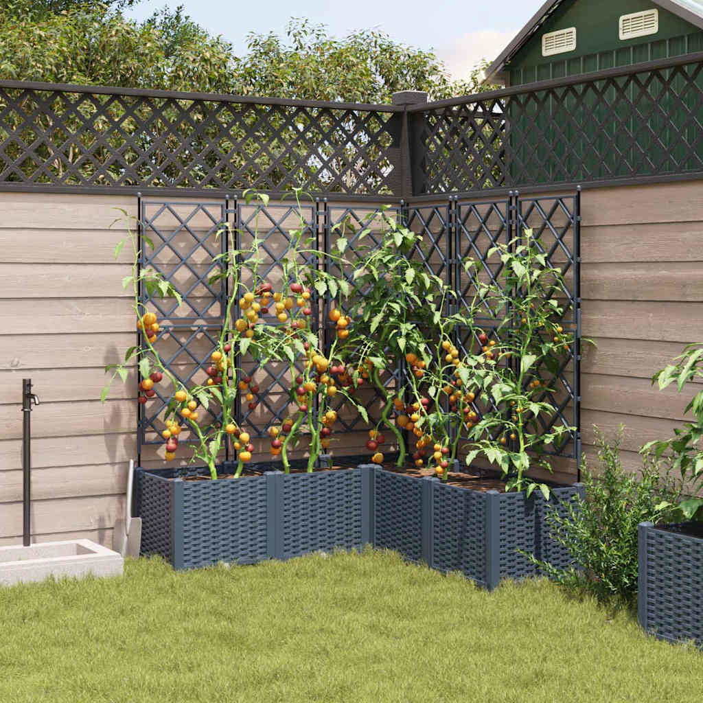 Havekrukke med trellis 5 pcs Grå 120 x 120 x 143 cm PP
