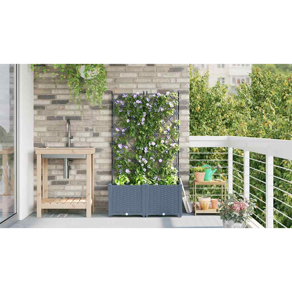 Havekrukke med trellis 2 pcs Lysegrå 80 x 40 x 143 cm PP