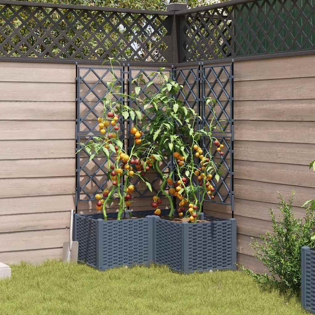 Havekrukke med trellis 3 pcs Lysegrå 80 x 80 x 143 cm PP