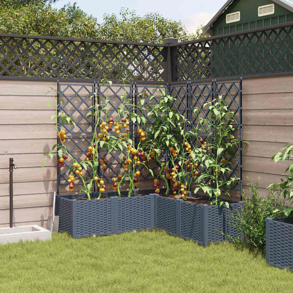 Havekrukke med trellis 5 pcs Lysegrå 120 x 120 x 143 cm PP