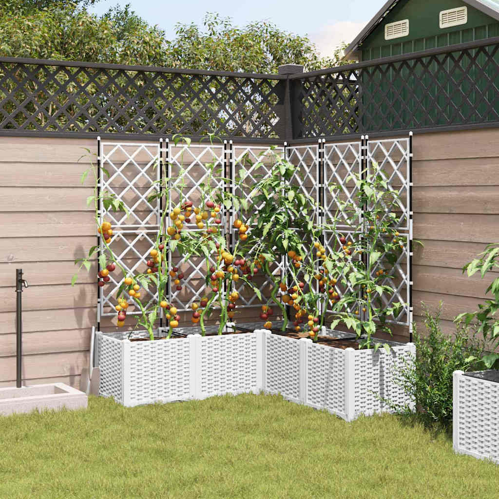 Havekrukke med trellis 5 pcs Hvid 120 x 120 x 143 cm PP