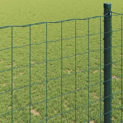 Euro Hejn Grøn 0,6 x 50 m PVC-belagt jern