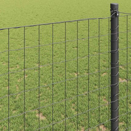 Euro Hejn Grå 1 x 10 m PVC-belagt jern