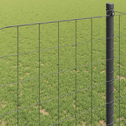 Euro Hejn Grå 0,6 x 10 m PVC-belagt jern