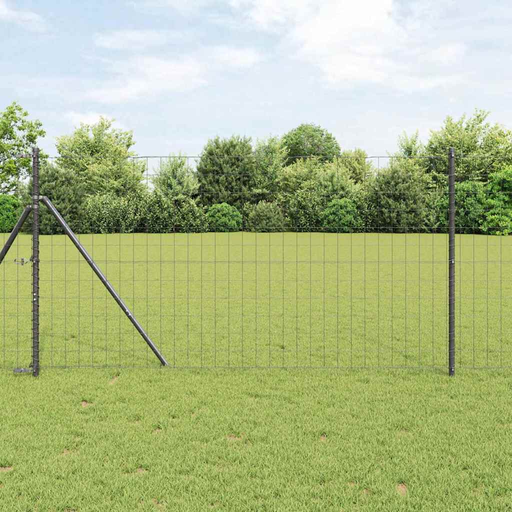 Euro Hejn Grå 1,2 x 10 m PVC-belagt jern