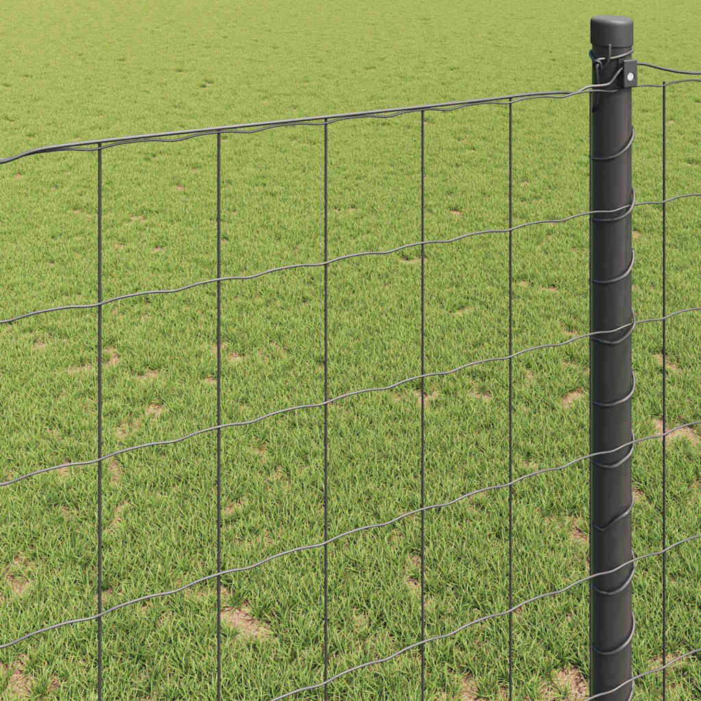 Euro Hejn Grå 1,4 x 10 m PVC-belagt jern