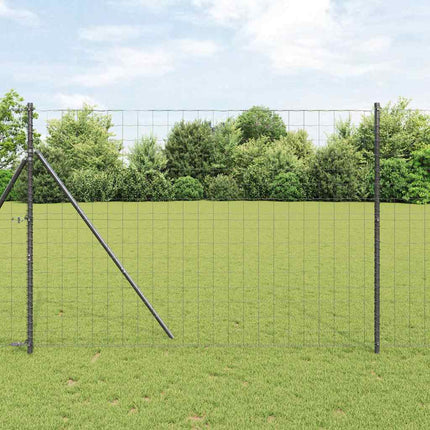 Euro Hejn Grå 1,6 x 10 m PVC-belagt jern