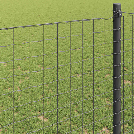 Euro Hejn Grå 1 x 25 m PVC-belagt jern
