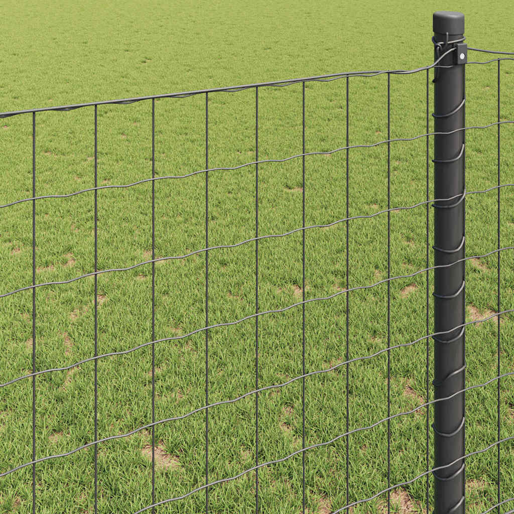 Euro Hejn Grå 0,8 x 25 m PVC-belagt jern