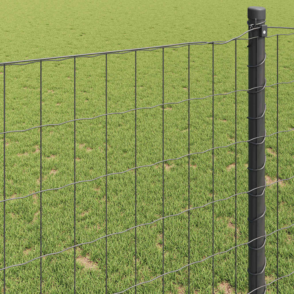 Euro Hejn Grå 0,8 x 25 m PVC-belagt jern