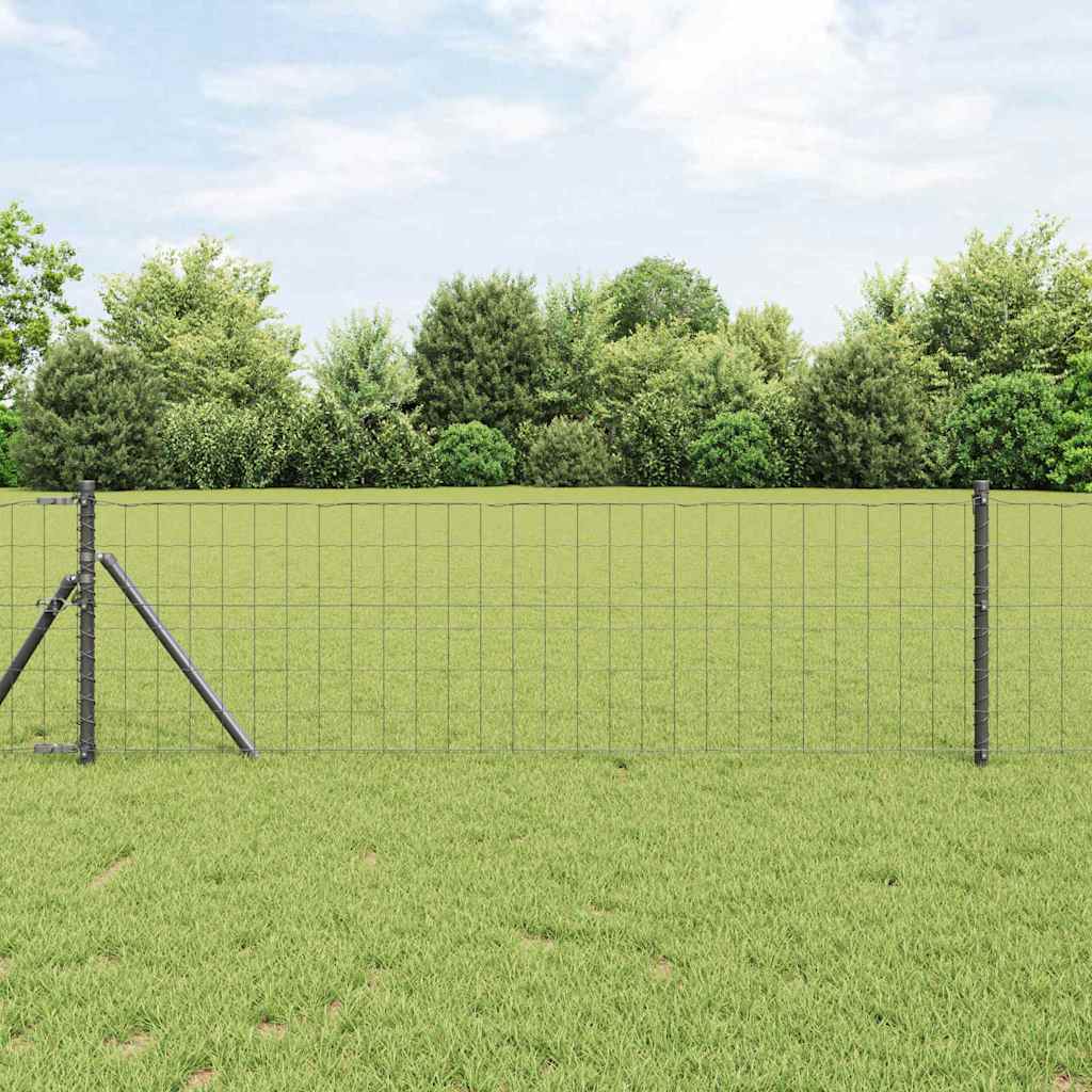Euro Hejn Grå 0,8 x 25 m PVC-belagt jern