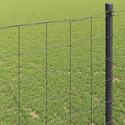 Euro Hejn Grå 0,6 x 25 m PVC-belagt jern