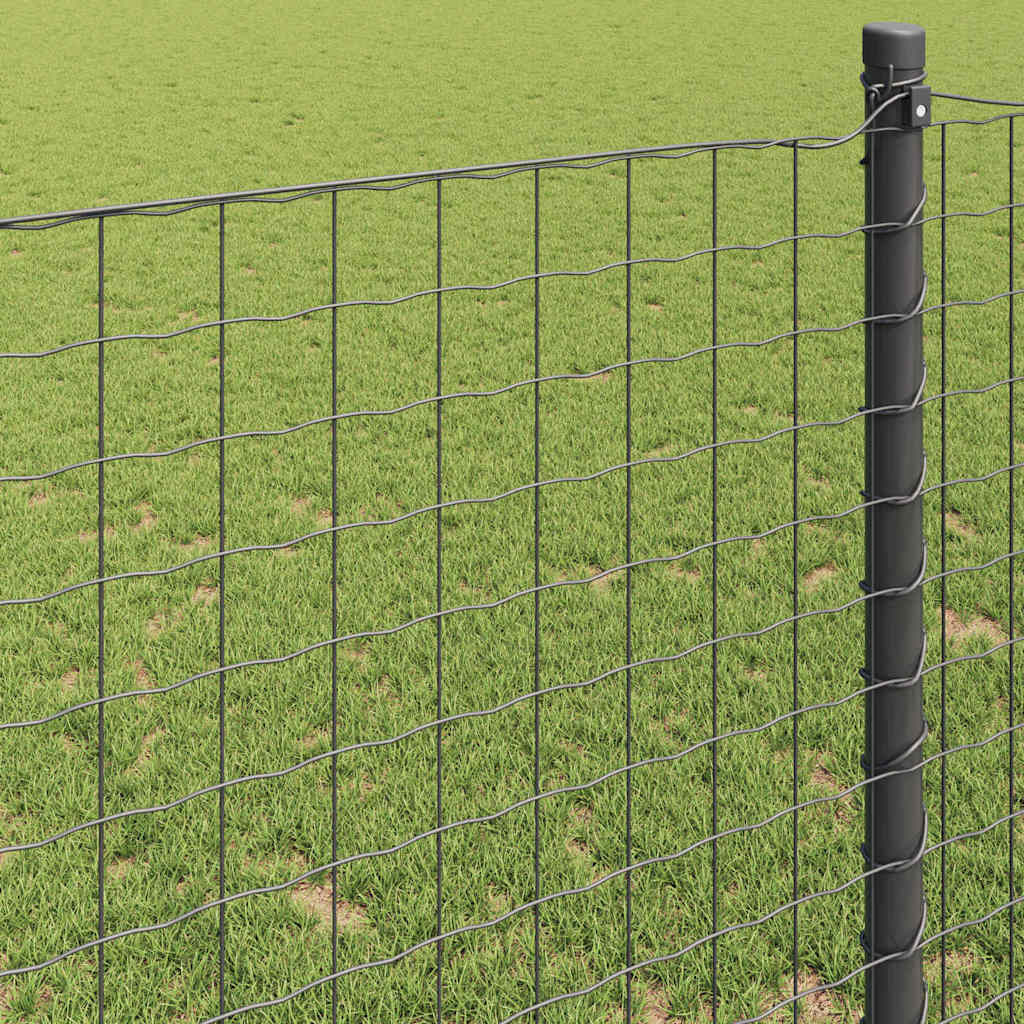 Euro Hejn Grå 0,6 x 50 m PVC-belagt jern