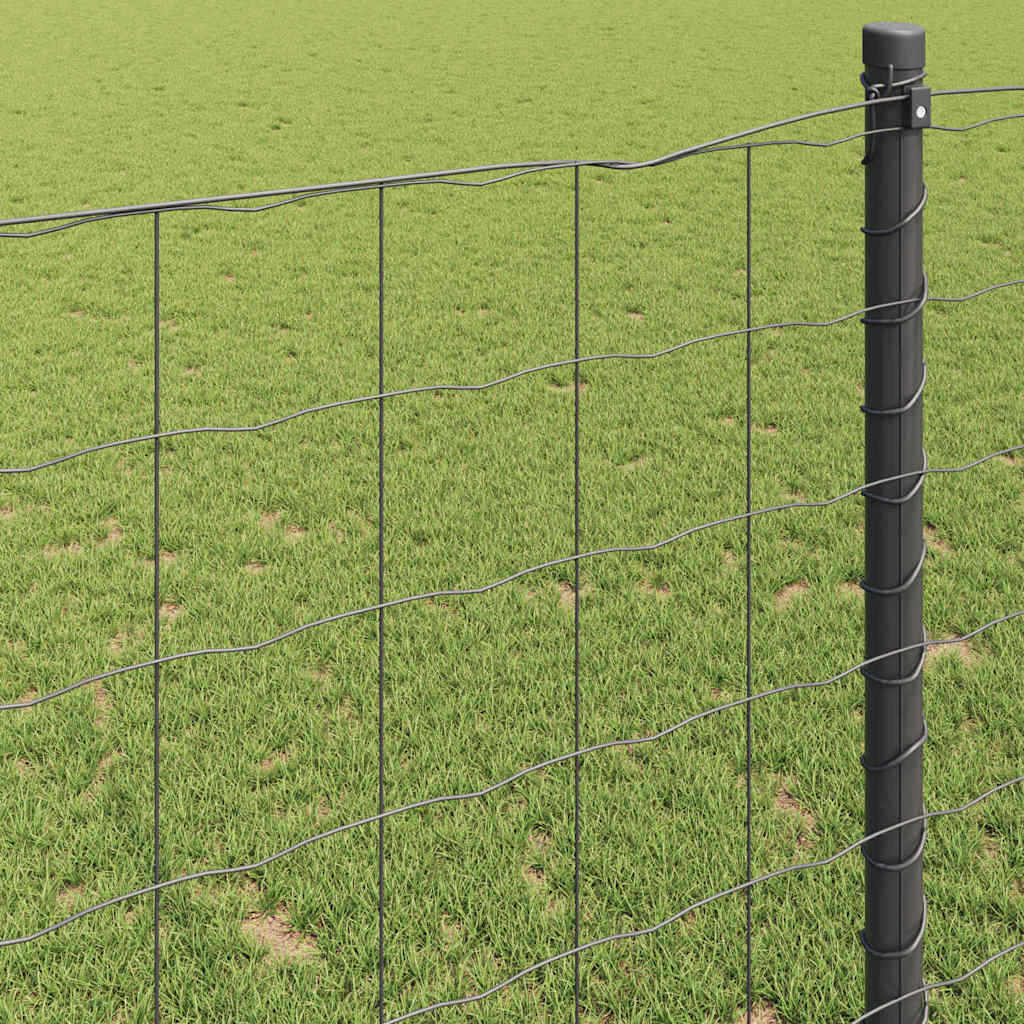 Euro Hejn Grå 0,6 x 50 m PVC-belagt jern