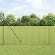 Euro Hejn Sort 1,6 x 10 m PVC-belagt jern