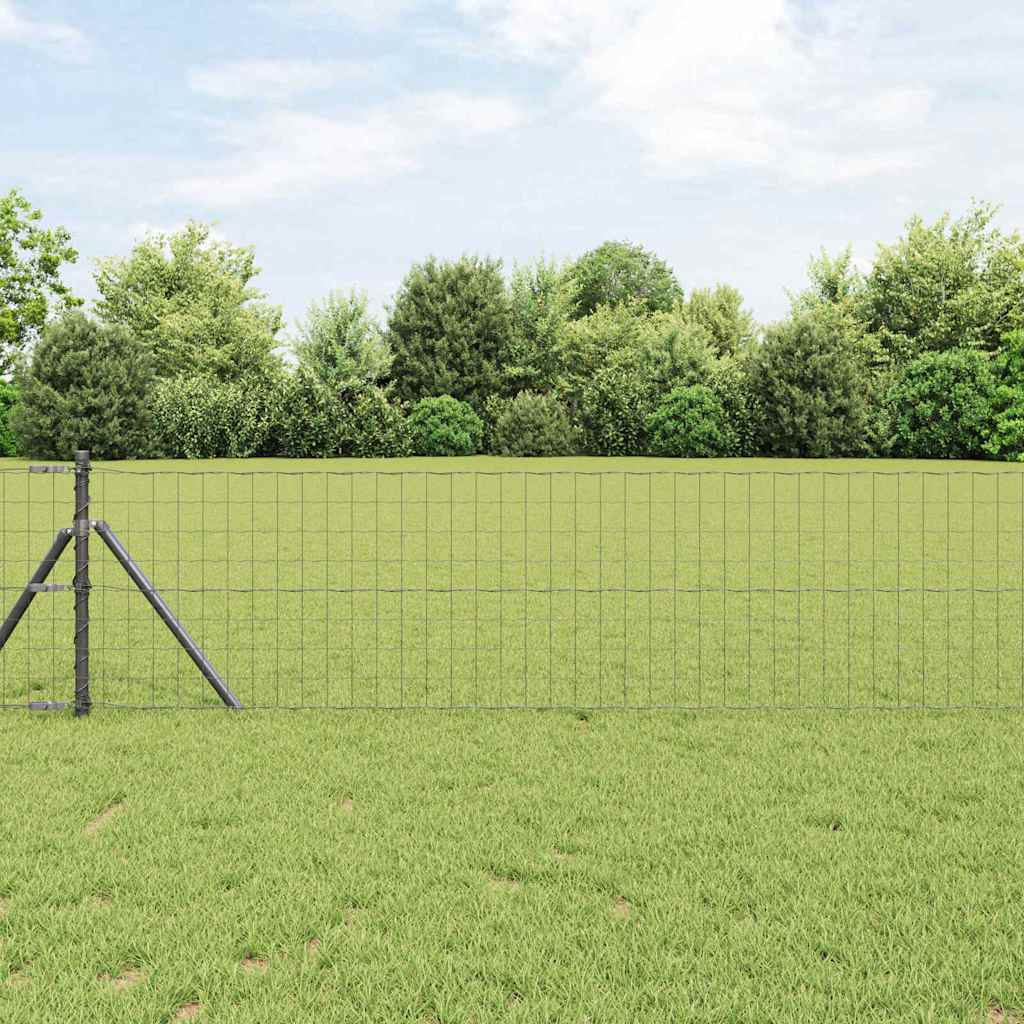Euro Hejn Grå 0,4 x 50 m PVC-belagt jern