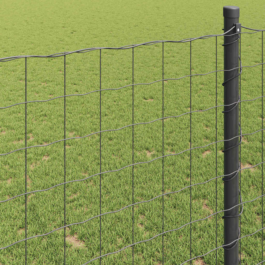 Euro Hejn Grå 0,6 x 50 m PVC-belagt jern