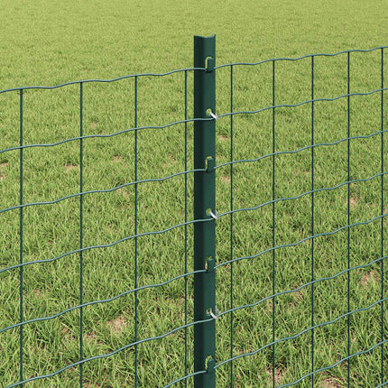 Udendørs Euro Hegn med Stander 10 x 0,6 m PVC-belagt stål Grøn