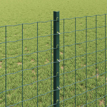 Udendørs Euro Hegn med Stander 10 x 0,8 m PVC-belagt stål Grøn