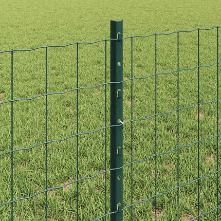 Udendørs Euro Hegn med Stander 10 x 0,6 m PVC-belagt stål Grøn