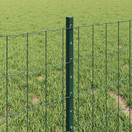 Eurohegn med stolpe 10 x 0,4 m PVC-belagt stål Grøn Mesh