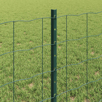 Eurohegn med stolpe 10 x 0,6 m PVC-belagt stål Grøn Mesh