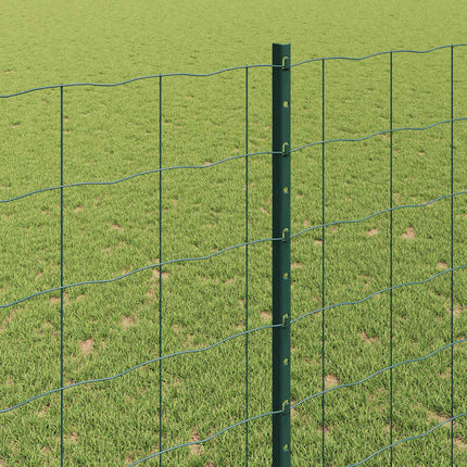 Eurohegn med stolpe 10 x 1,4 m PVC-belagt stål Grøn Mesh