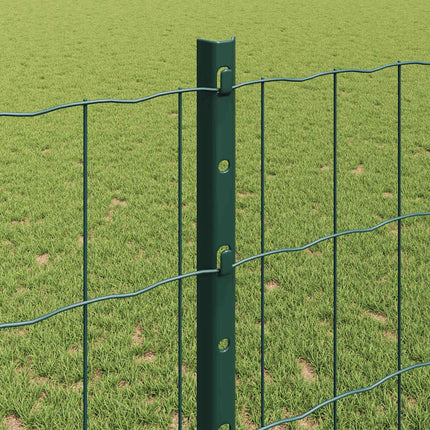 Eurohegn med stolpe 25 x 1,2 m PVC-belagt stål Grøn Mesh