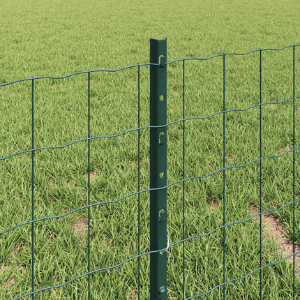 Eurohegn med stolpe 10 x 0,4 m PVC-belagt stål Grøn Mesh