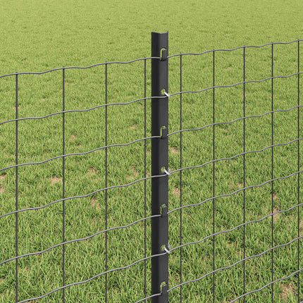 Udendørs Euro Hegn med Stander 10 x 0,8 m PVC-belagt stål Grå