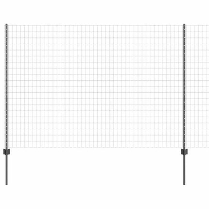 Eurohegn med stolpe 10 x 1,6 m PVC-belagt stål Grå Mesh